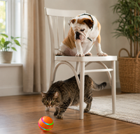 NoblePet Wicked Ball™ — Automatic Interactive Pet Toy